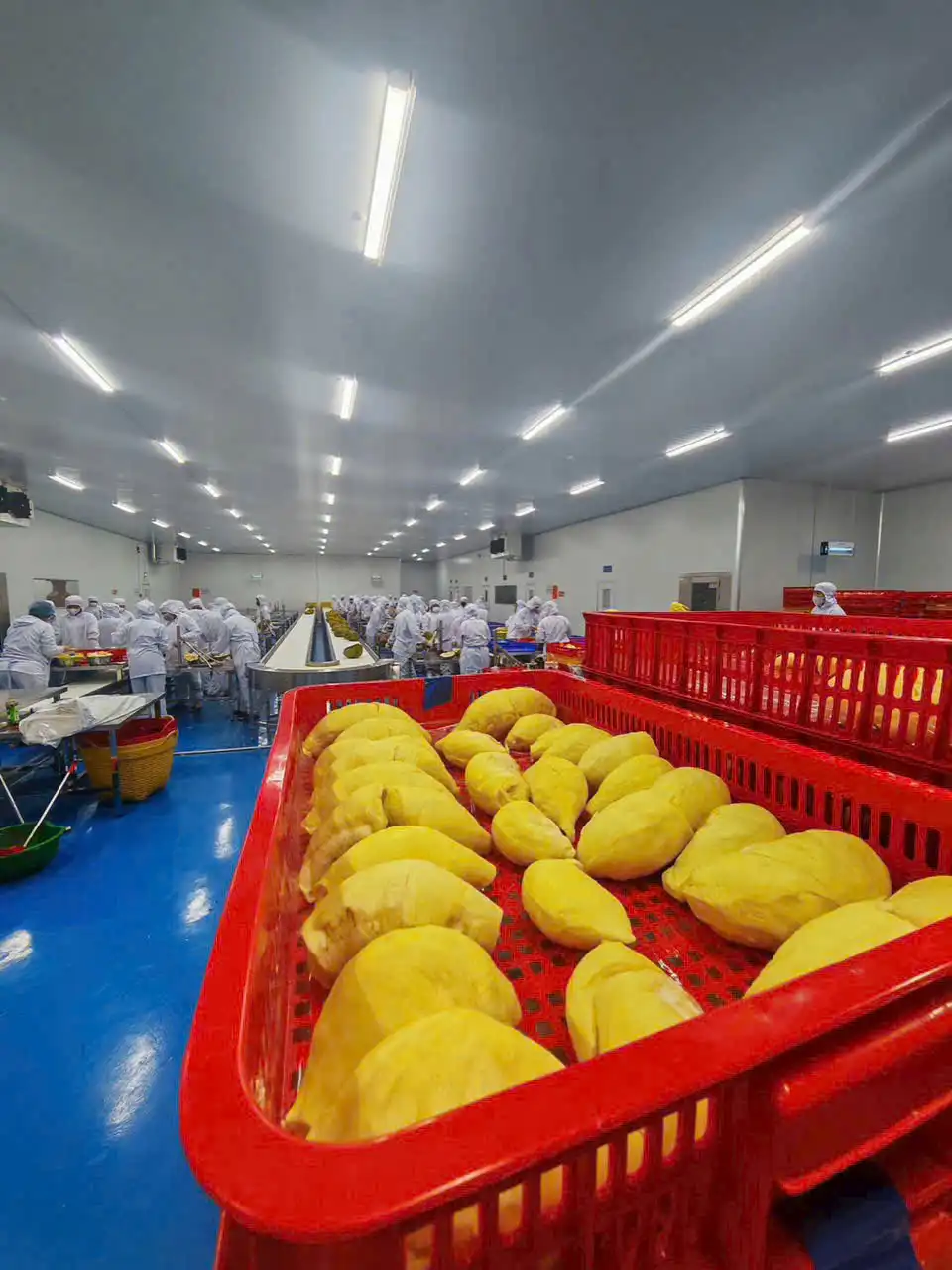 Alternative view of Sầu riêng đông lạnh